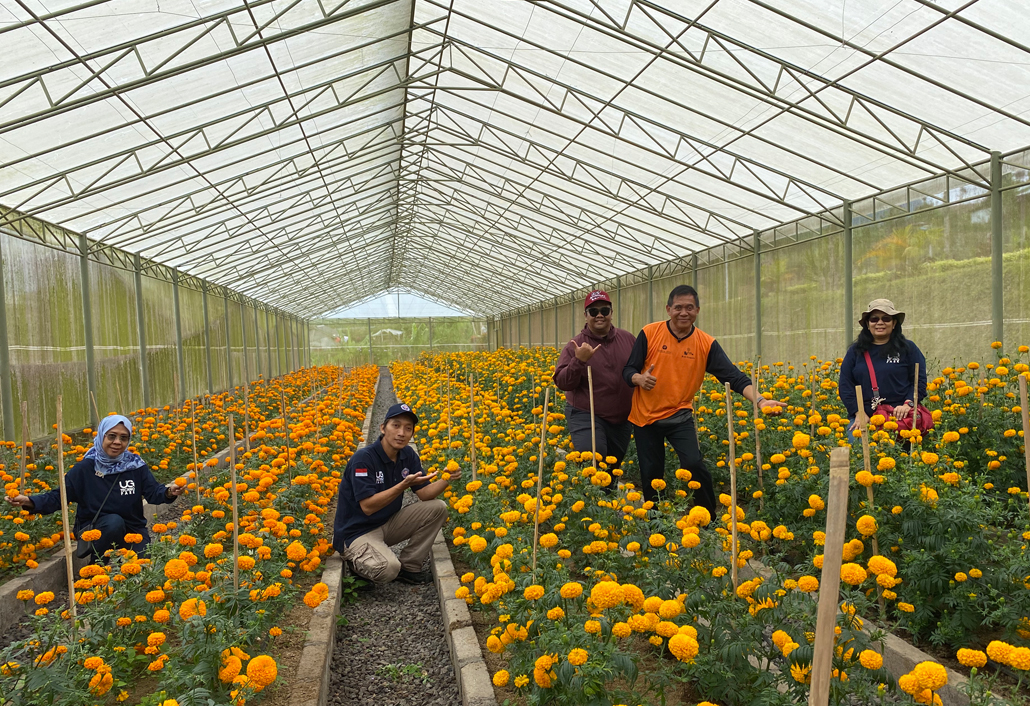 Marigold Landing